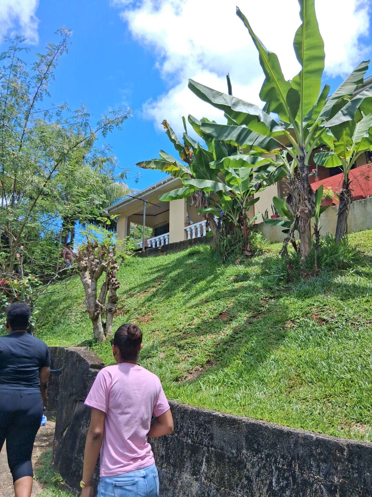 Housing Estate visits